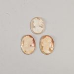 1742 3428 Snäckcamé